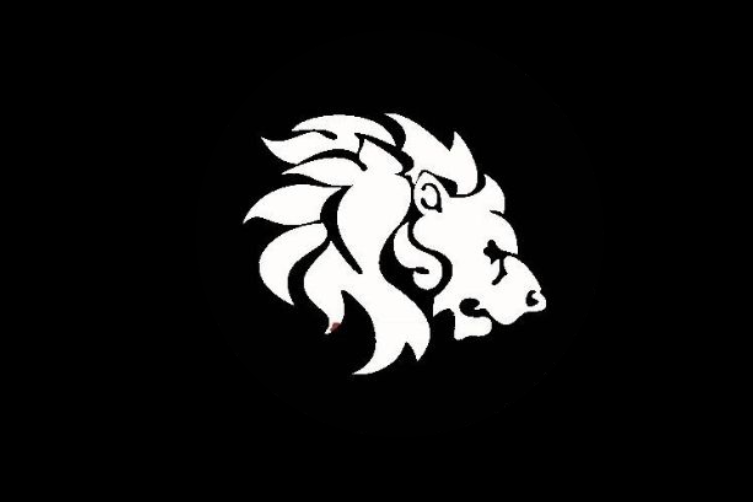 Why CeylonCoin Is One of the Best Startup Coins in 2025